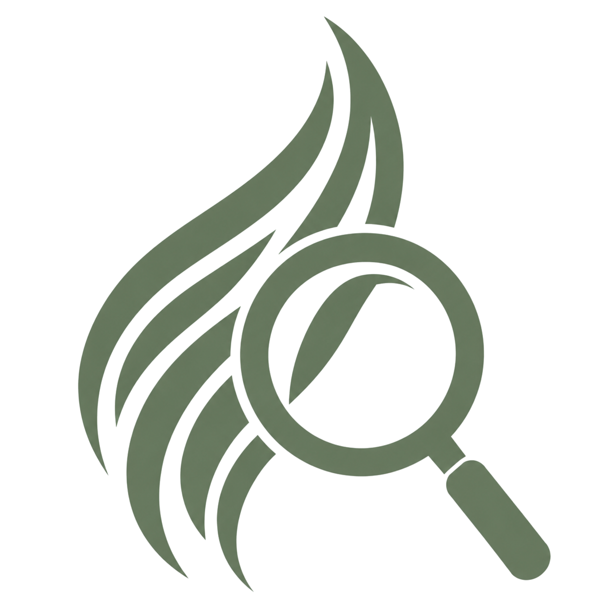 Haarmineralanalyse.com